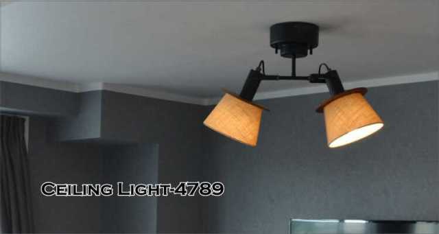 LED専用のスポット型2灯シーリングライト