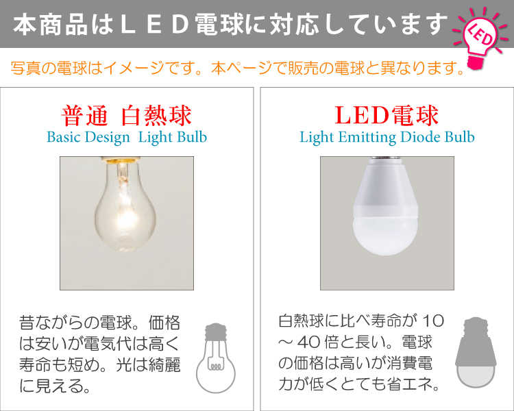   白熱球・LED電球の説明