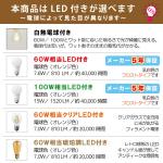 白熱球・LED電球の説明