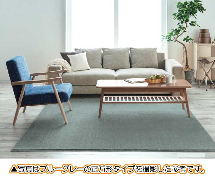 RG-3241 防ダニ＆防音加工！ナチュラルモダンラグ（長方形・日本製