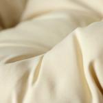 見るからにふかふかのクッション