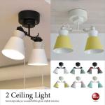 LT-4451 シーリングライトスポット2灯