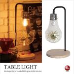 LT-4460 1灯テーブルランプ個性的な電球デザイン