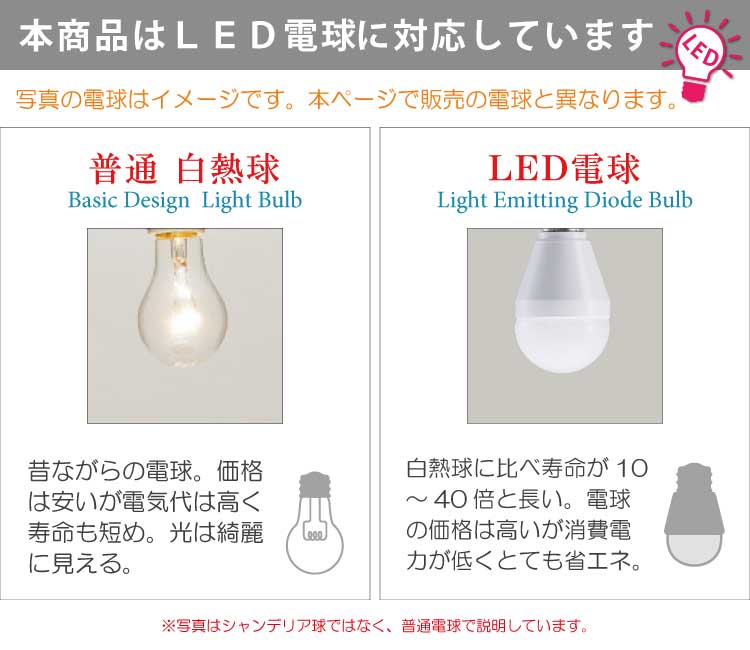 白熱球・LED電球の説明