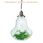 癒し系ペンダントライト