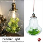 LT-4574 LED付き癒し系ペンダントライト1灯