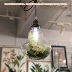 目にも優しいグリーン