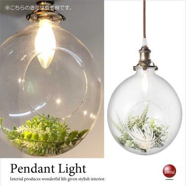LED付き！観葉植物ペンダントライト（グリーン付き／癒し系）