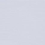 ホワイト拡大画像