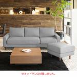 幅210cmと大型サイズ