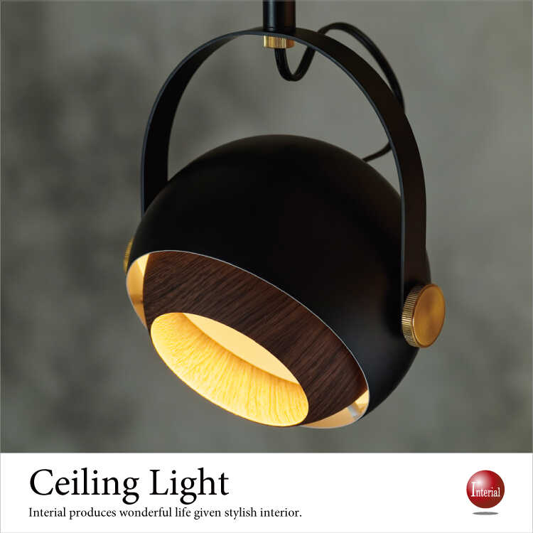 LT-4643 丸いフォルムが可愛いダクトレール用ライト