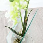 ギフトにもおすすめ