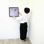 蝶や草木といった自然の風景