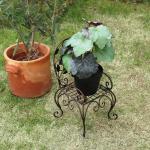 テラスやお庭用のガーデニング小物