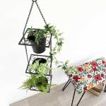 植物を際立たせるブラックカラー