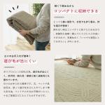 軽量なので女性でも持ち運び楽々