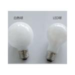 本製品は白熱球付き