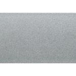 ラメ塗装されたシルバーカラー