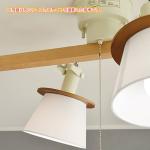 プルスイッチ付属