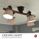 LT-4785 寝室におすすめのスポット型シーリングライト