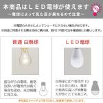 白熱球・LED電球の説明