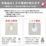 白熱球・LED電球の説明