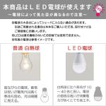 白熱球・LED電球説明