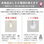 白熱球・LED電球説明