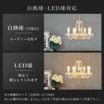 LED電球にも対応