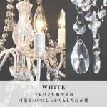 王道カラーのホワイト