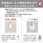  白熱球・LED電球の説明