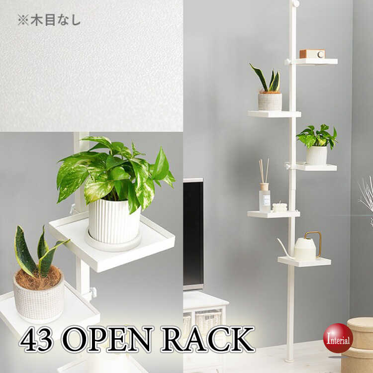 RA-3702 見せる収納ディスプレイラック