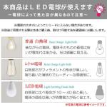 白熱球・レトロ球・LED電球の説明