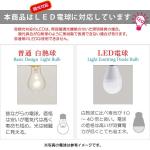 白熱球・LED電球の説明