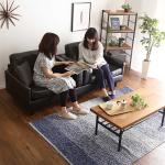 来客時におすすめのセパレート