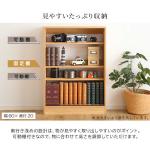 可動棚が2枚付属