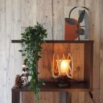 サイズは幅20cmと小ぶり