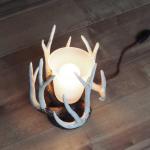 ほっと心を落ち着かせてくれる