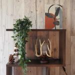 ディスプレイラック