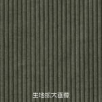 生地拡大画像
