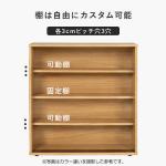 内部には中央の固定棚1枚と可動棚2枚