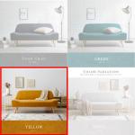 イエローの販売