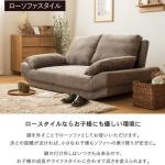 ロータイプとしても対応