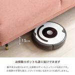 お掃除ロボットも入れる