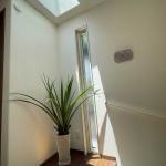 しっかりと空間の中で存在感を