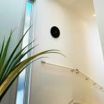 コントラストが映える