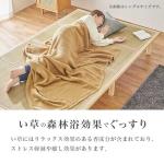 直接寝転がっても心地良い