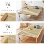 フレームは2色から選べる