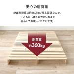 静止耐荷重はなんと脅威の約350kg