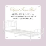 全身が白・ホワイト